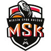 梅尔辛